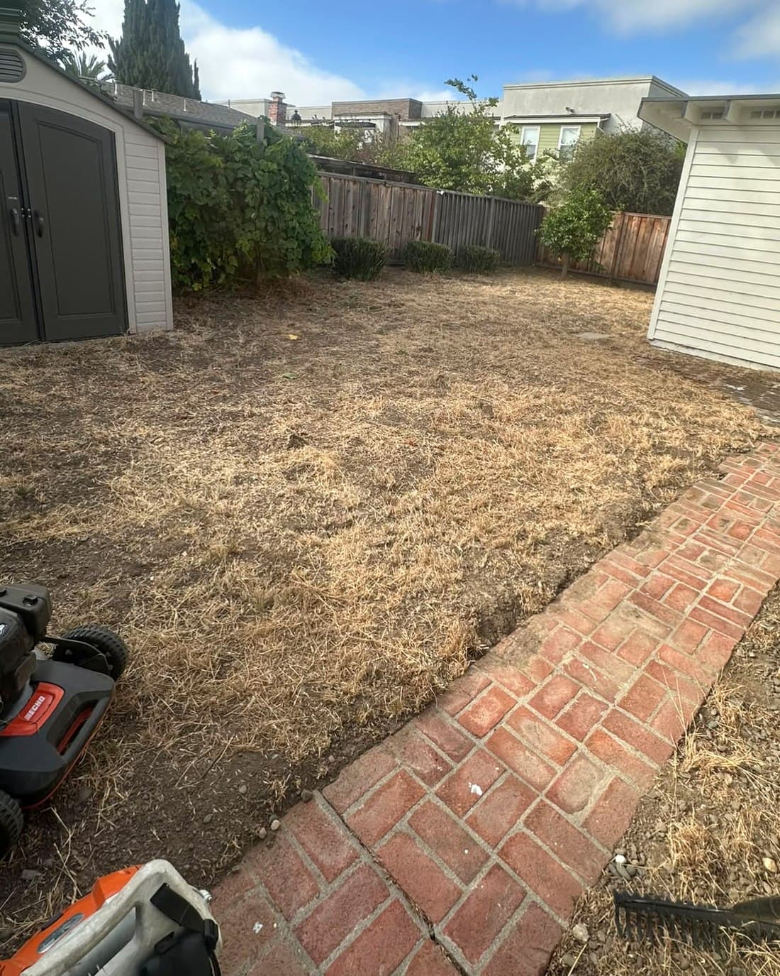 The same backyard cleared, with the brick path exposed