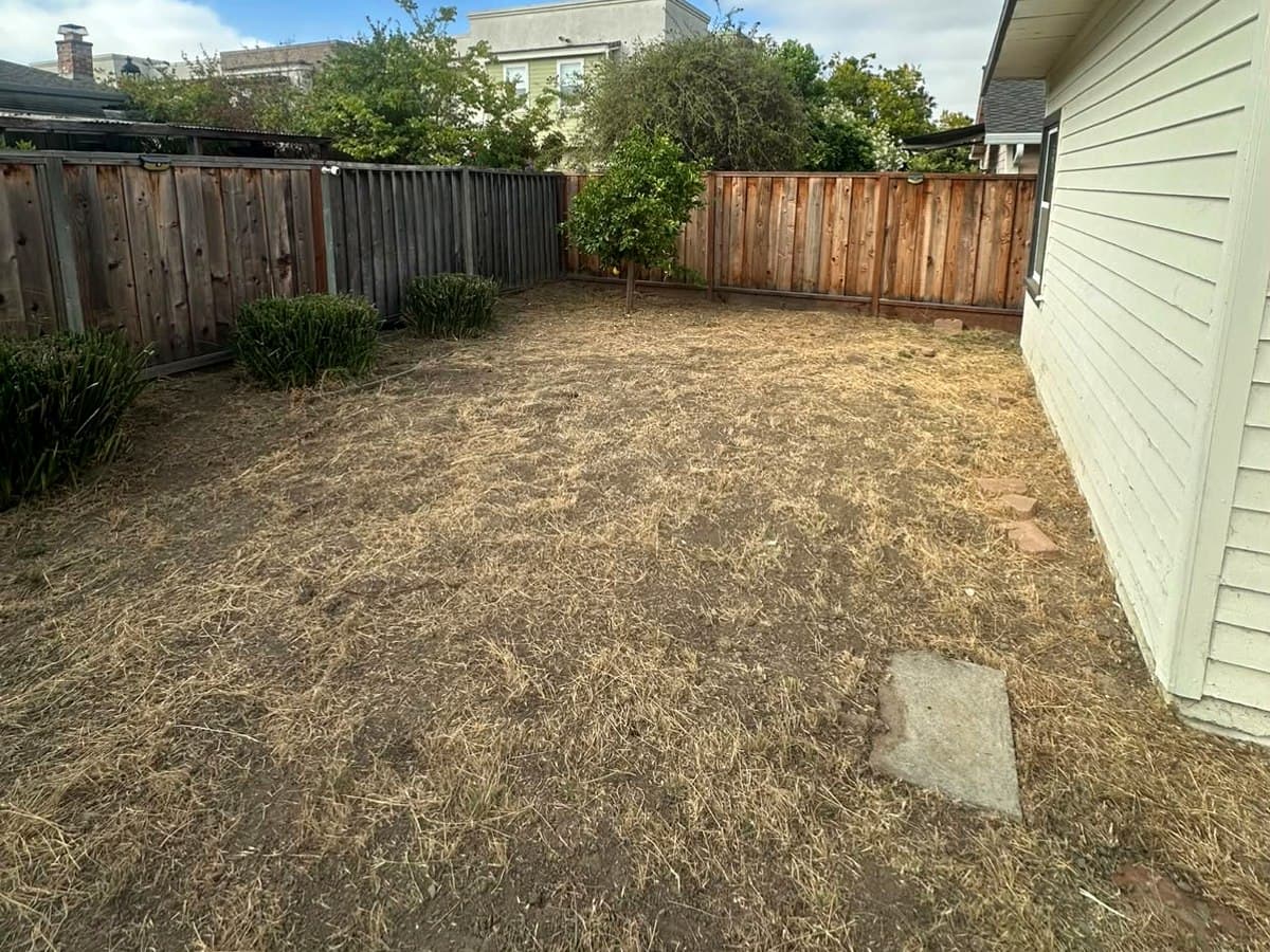Yard Cleanups