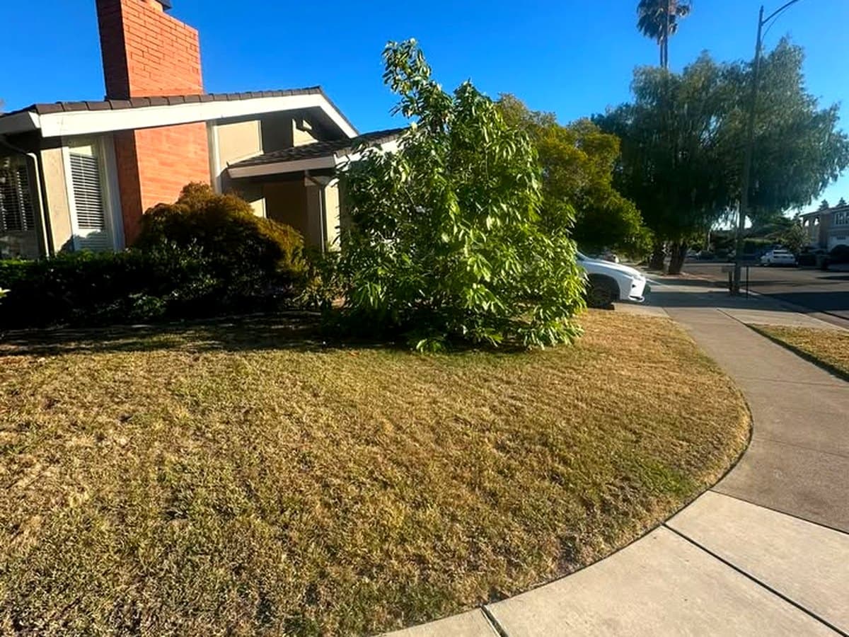Mowing And Maintenance